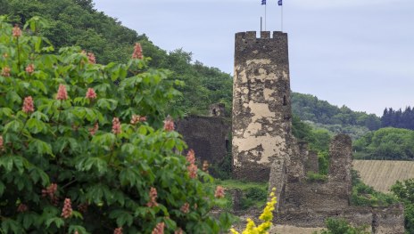 F&uuml;rstenberg im Fr&uuml;hjahr | &copy; Friedrich Gier