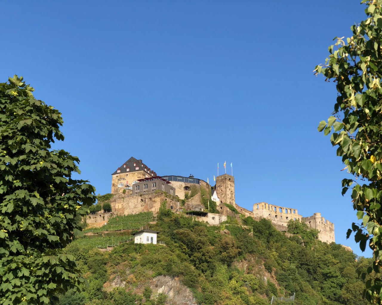 Burg Rheinfels | © rheingucken.de Burg Rheinfels | © rheingucken.de