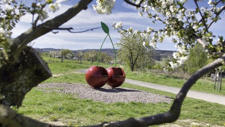 Filsener Kirschepfad | &copy; Sebastian Reifferscheid/Loreley Touristik GmbH