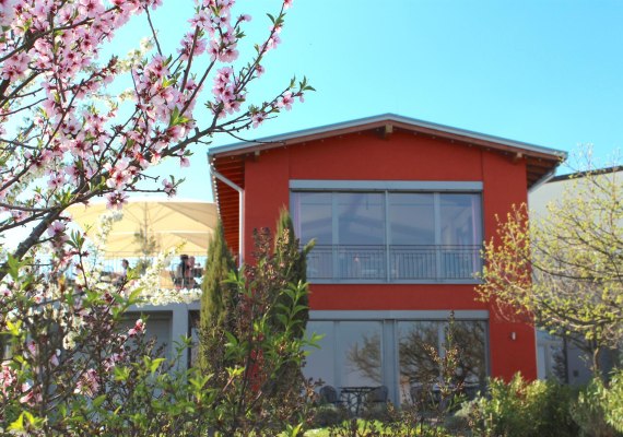 Vinothek Weingut Freimuth | &copy; Weingut Freimuth