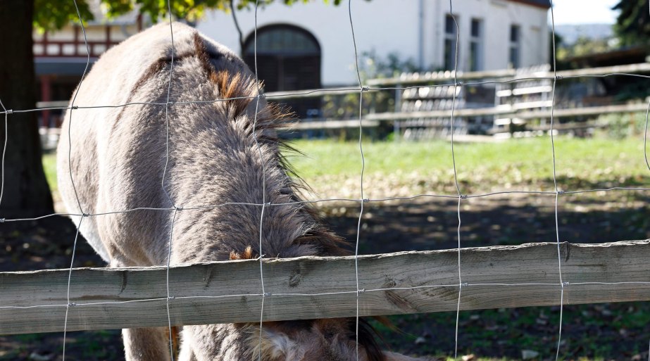 Wacholderhof I | © Marc Nebel Wacholderhof I | © Marc Nebel