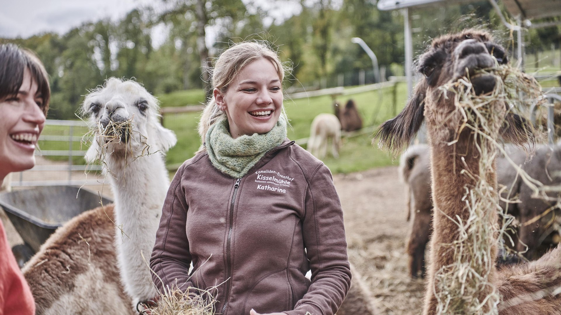 F&uuml;tterung Lamas und Alpakas | &copy; HA Hessen Tourismus, Roman Knie