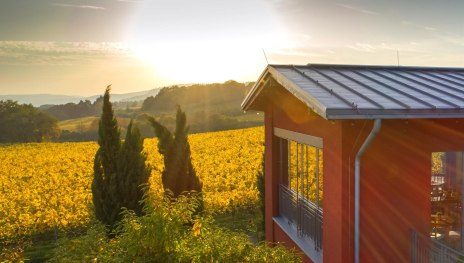 Weingut Freimuth | &copy; Weingut Freimuth