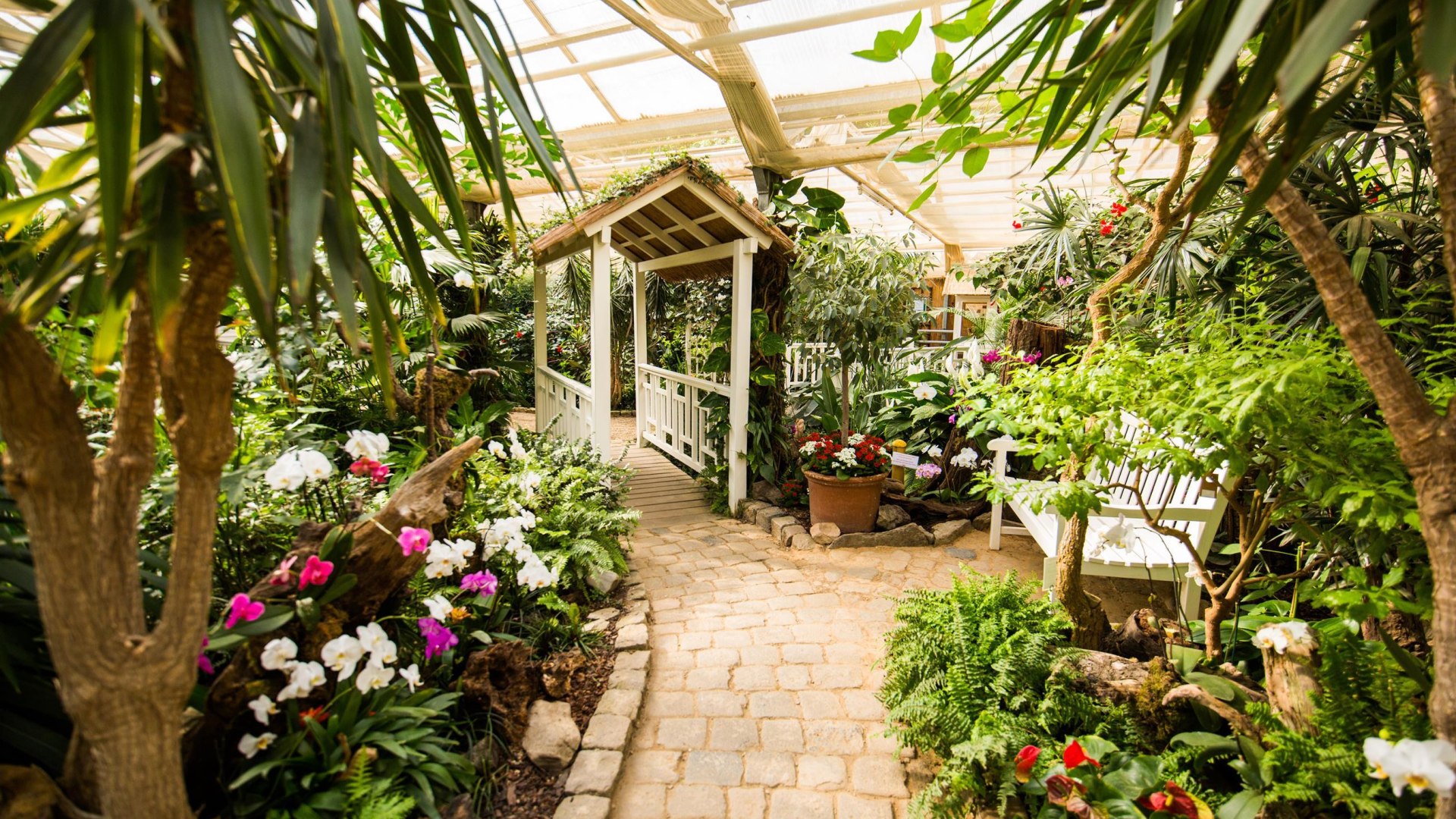 Garten der Schmetterlinge_ | &copy; Henry Tornow/Romantischer Rhein Tourismus GmbH
