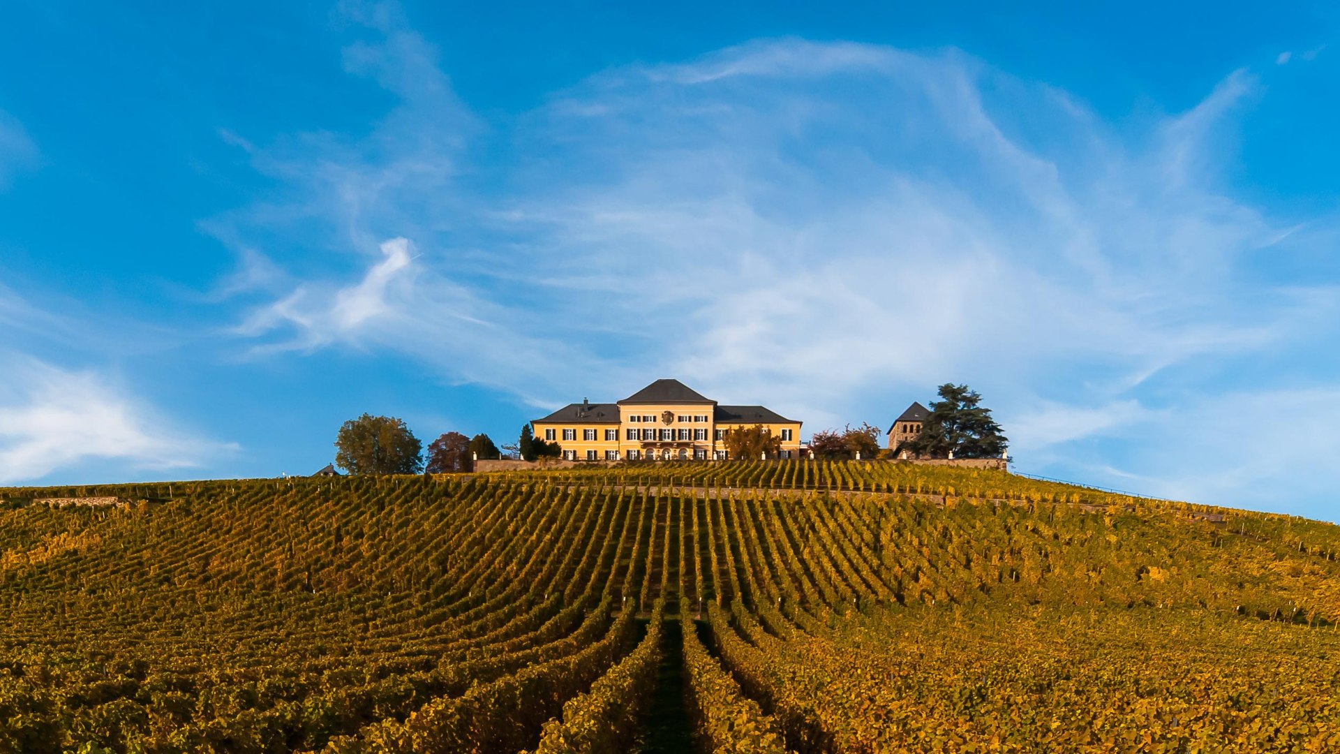 Schloss Johannisberg | © Schloss Johannisberg