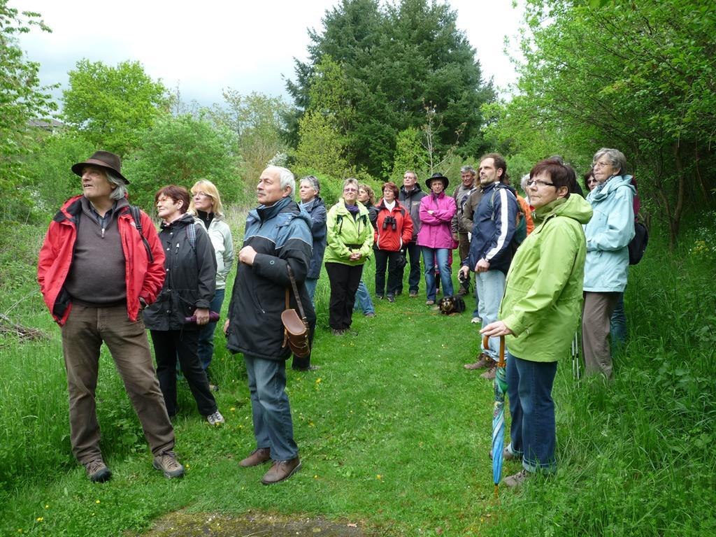 Vogelstimmenwanderung | &copy; Werner Sopp