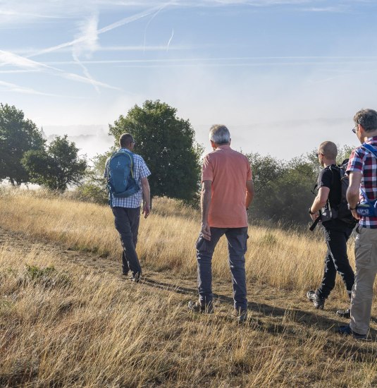 Wanderer auf dem Rheinsteig | © Katja_S_Verhoeven