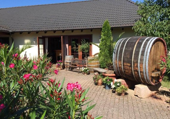 Weingut Hans Bausch | &copy; Weingut Hans Bausch