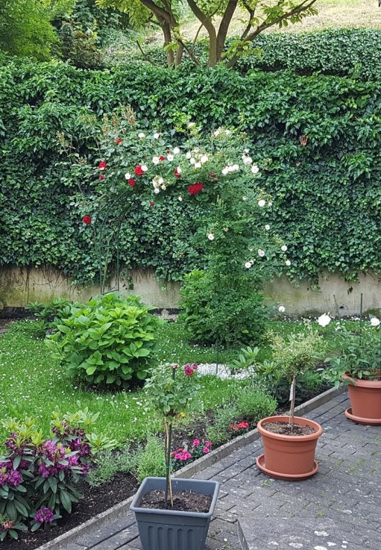 Au&szlig;enbereich | &copy; Susanne Bach