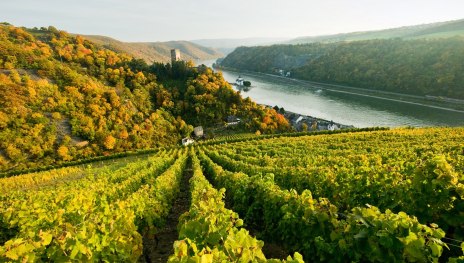 Blick auf Kaub | © Dominik Ketz, Mittelrhein Blick auf Kaub | © Dominik Ketz, Mittelrhein
