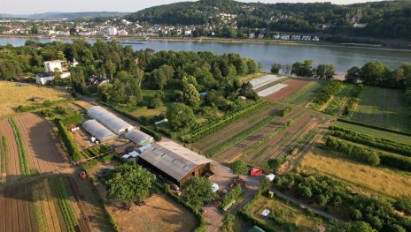 1 | © Katringer Grünzeug eG 1 | © Katringer Grünzeug eG