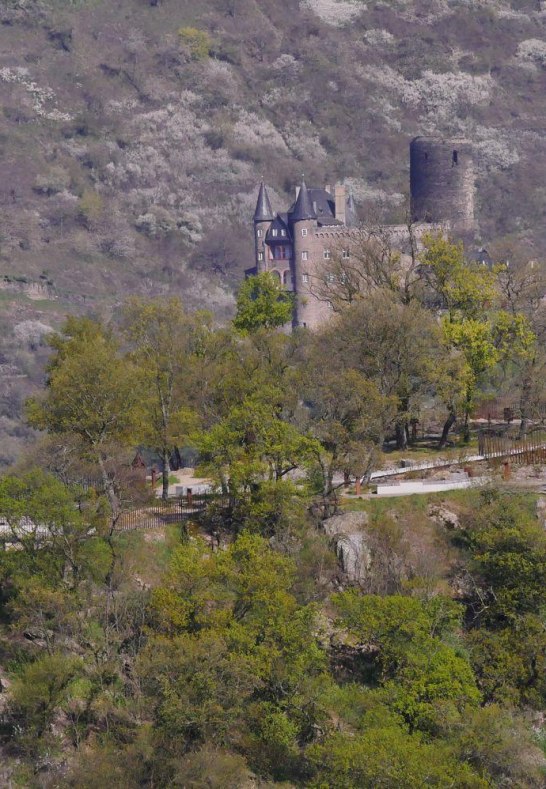 Loreleyplateau mit Burg Katz | © Bernhard Vogt Loreleyplateau mit Burg Katz | © Bernhard Vogt