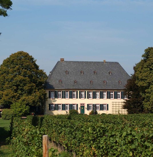 Gutshaus_(c)Knyphausen | © Knyphausen Gutshaus_(c)Knyphausen | © Knyphausen