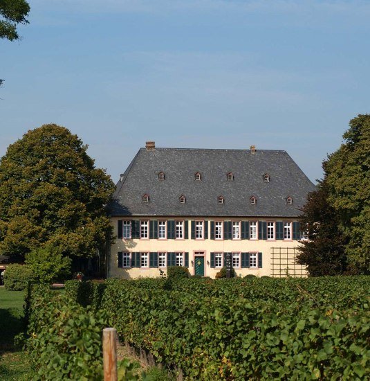 Gutshaus_(c)Knyphausen | &copy; Knyphausen