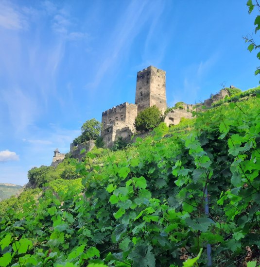 Burg Gutenfels | &copy; Peter Bahles