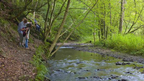 Wildromantisches Brexbachtal | &copy; Traumpfade, Klaus-Peter Kappest, Mittelrhein