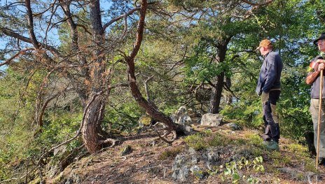 Wanderwarte am Kleinmödersnack | © T. Biersch