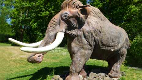 Mammut | &copy; LEIZA/A.-L.Rosenthal