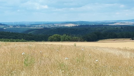 Fernblick am Wanderweg | © G. Liesenfeld