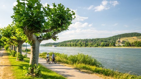 Rheinradweg bei Bad Breisig | © Dominik Ketz, Romantischer Rhein Tourismus GmbH Rheinradweg bei Bad Breisig | © Dominik Ketz, Romantischer Rhein Tourismus GmbH