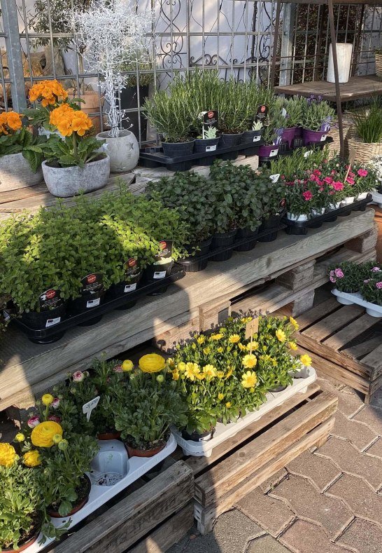 Frings 2 | © Peter Frings Frings 2 | © Peter Frings