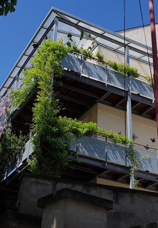 20190422_125643 | &copy; C. Edrich