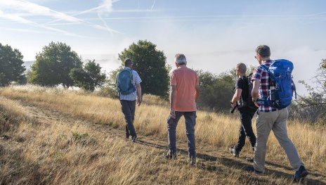 Wanderer auf dem Rheinsteig | © Katja_S_Verhoeven