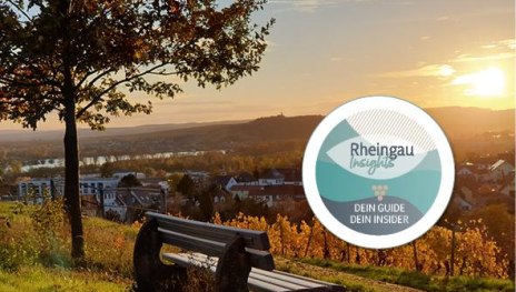 Blick vom Rothnberg | &copy; Hochschulstadt Geisenheim