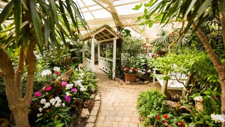 Garten der Schmetterlinge_ | &copy; Henry Tornow/Romantischer Rhein Tourismus GmbH