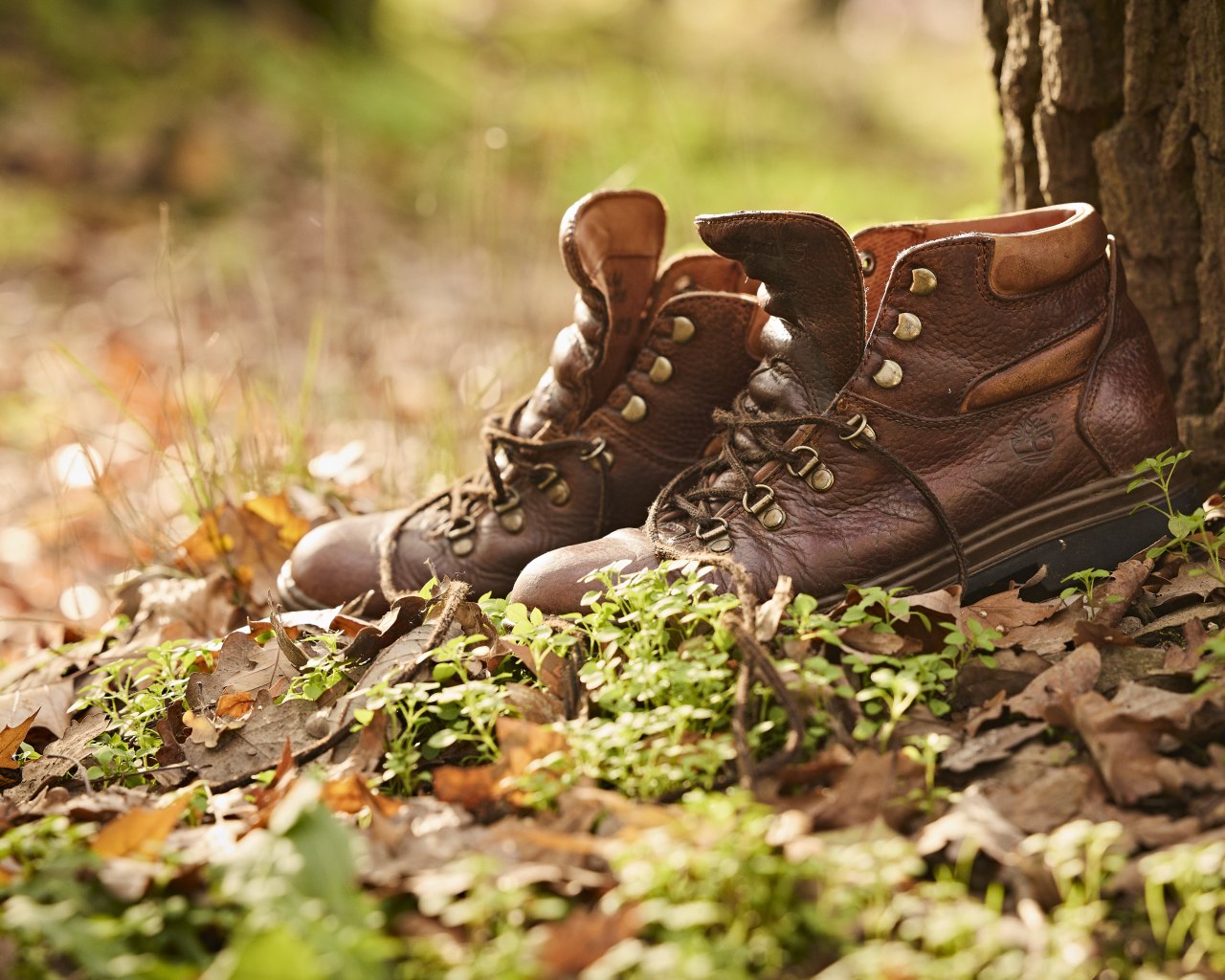 Wanderschuhe | © Marco Rothbrust CC BY 4.0 Wanderschuhe | © Marco Rothbrust CC BY 4.0