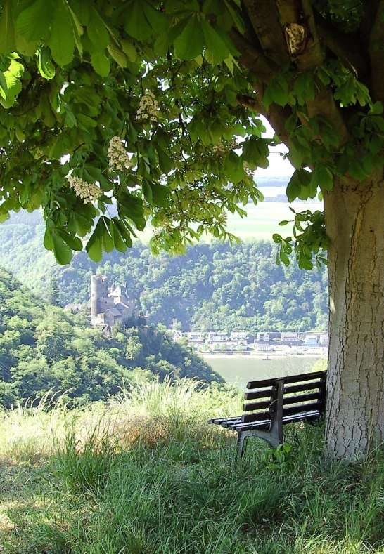 Burg Katz von oben | © Jens Niemeyer/Romantischer Rhein Tourismus GmbH Burg Katz von oben | © Jens Niemeyer/Romantischer Rhein Tourismus GmbH