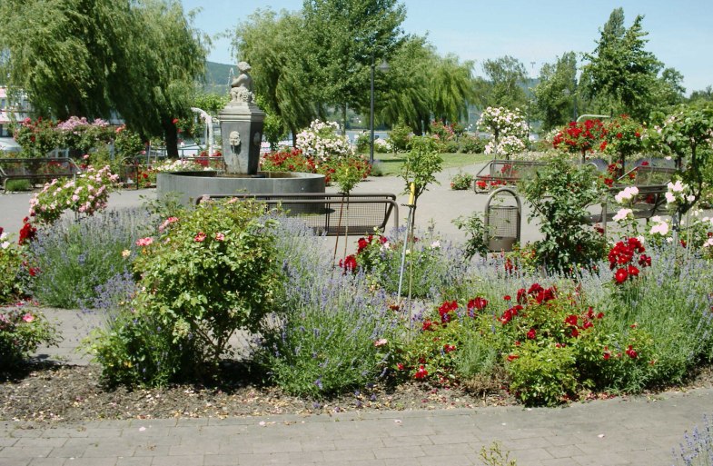 Braubach Braubach