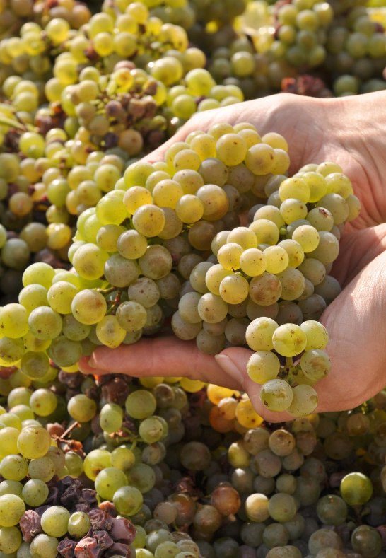 DSC_0682 | &copy; Fam.Lorenz