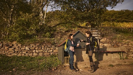 Weindepot Laadhütt | © Marco Rothbrust-Romantischer Rhein Tourismus GmbH Weindepot Laadhütt | © Marco Rothbrust-Romantischer Rhein Tourismus GmbH