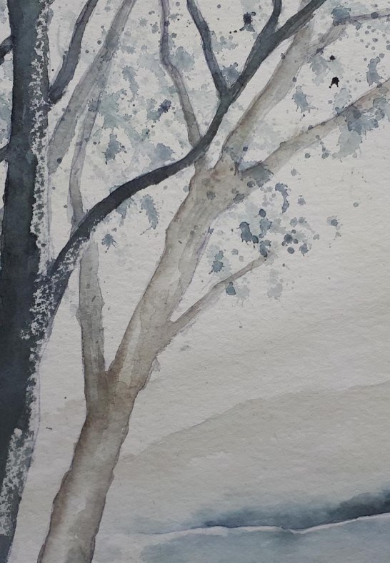 Bäume in der kalten Jahreszeit | © Hans-Joachim Schmitz Bäume in der kalten Jahreszeit | © Hans-Joachim Schmitz