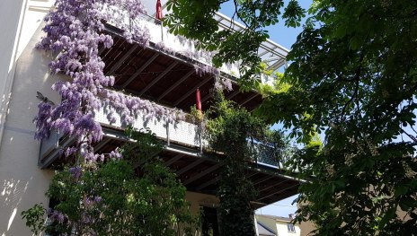 20190422_125835 | &copy; C. Edrich