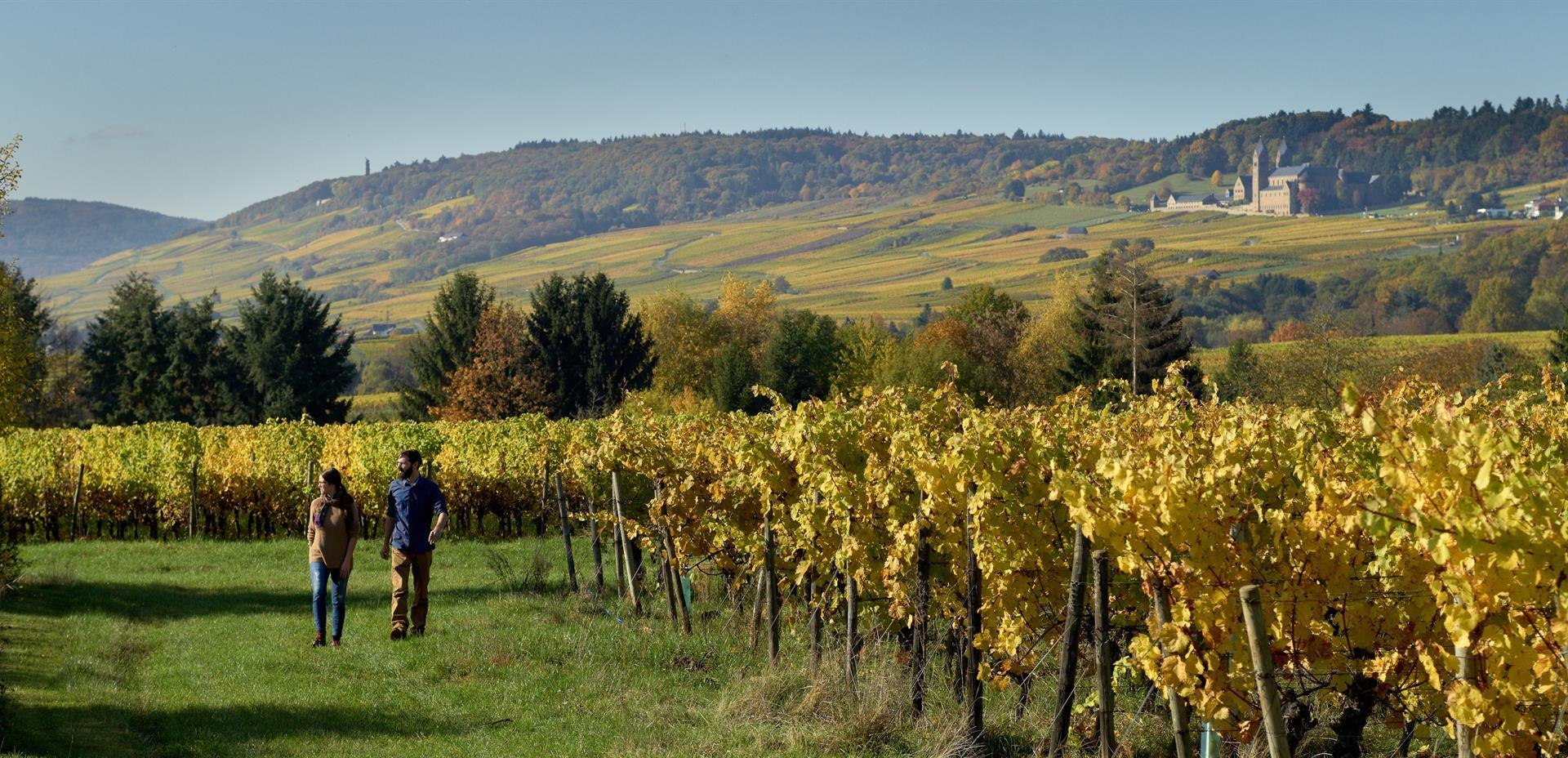 Weinberg | © Weingut Trinks Trinks