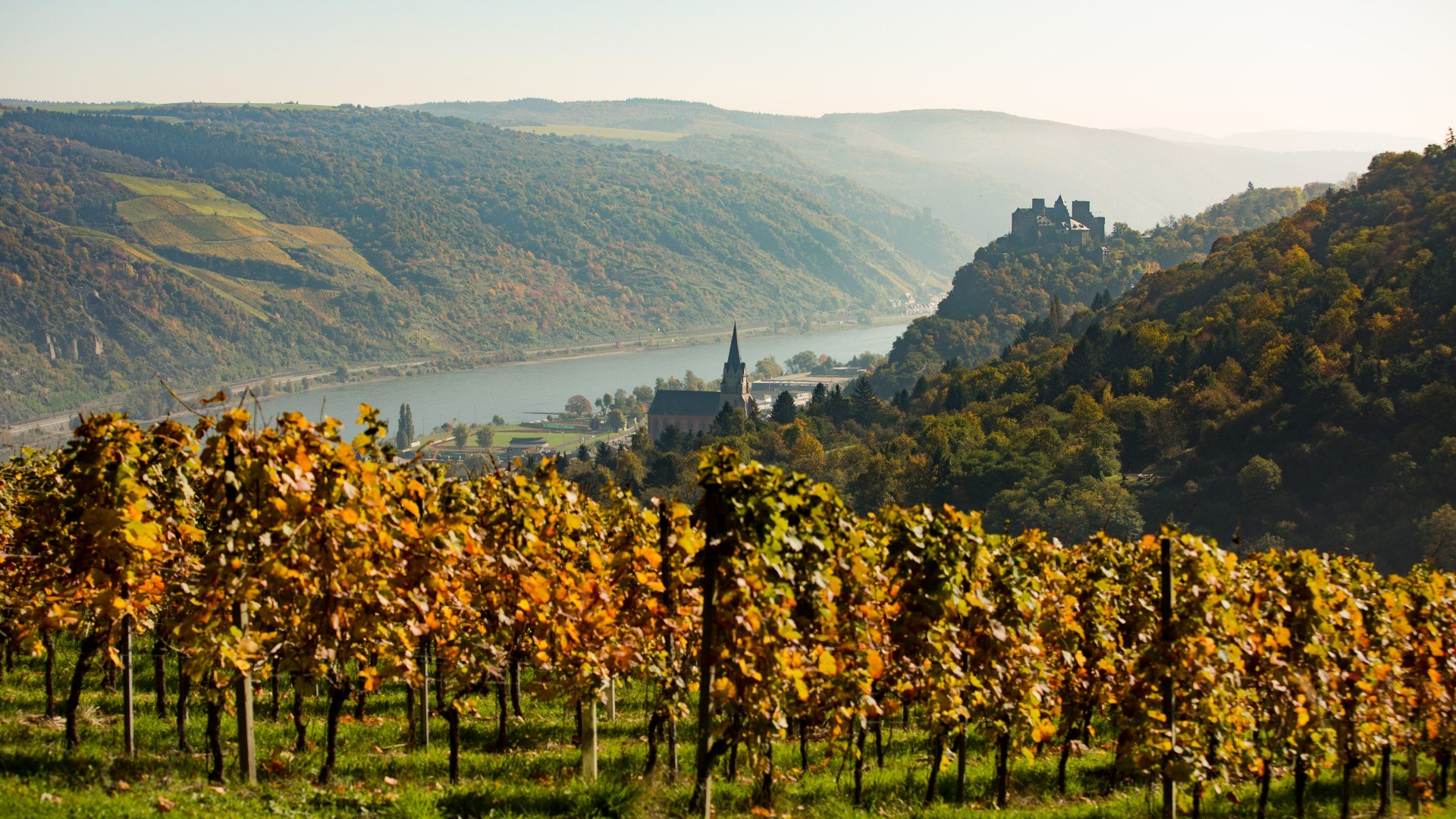 Blick auf das herbstliche Oberwesel | © Henry Tornow
