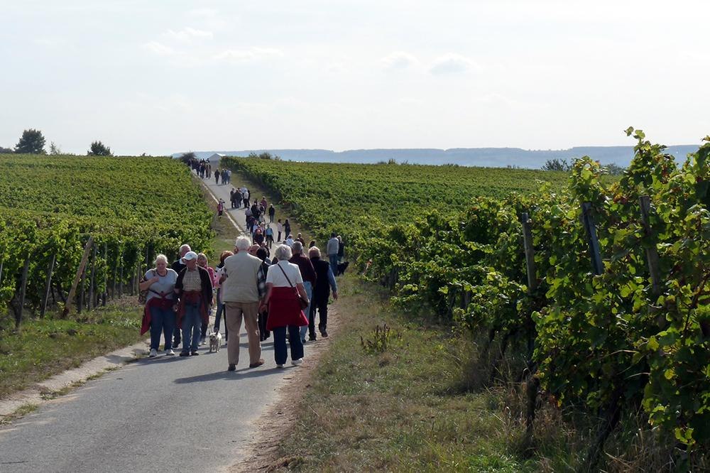 NaturPur | © Wein- und Sektgut Barth NaturPur | © Wein- und Sektgut Barth