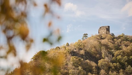 Ruine Nollig | © Marco Rothbrust, Romantischer Rhein Tourismus GmbH