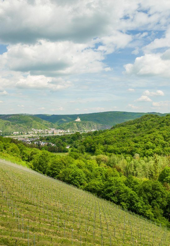 Blick | © Dominik Ketz Blick | © Dominik Ketz