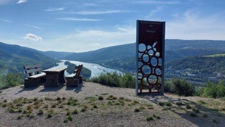 Schönste Weinsicht 2020 - Burg Nollig Lorch am Rhe | © Sabrina Klassen Schönste Weinsicht 2020 - Burg Nollig Lorch am Rhe | © Sabrina Klassen