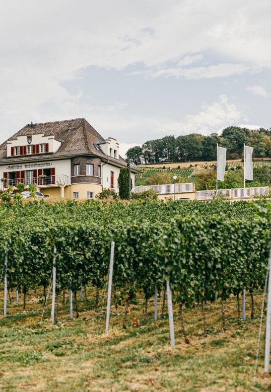 Dom&auml;ne Bergstra&szlig;e