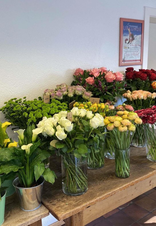 Frings 3 | © Peter Frings Frings 3 | © Peter Frings