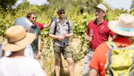 8 - 20230617-5X3A1499 | &copy; Offenstein Erben Weingut & Weinhotel