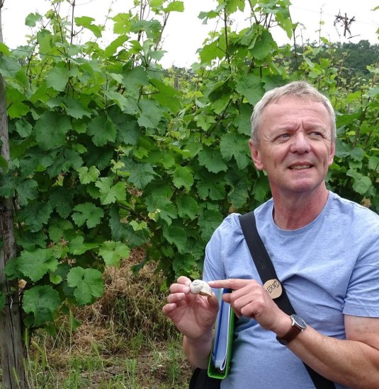 Bernd Doetsch im Weinberg | © Bernd Doetsch Bernd Doetsch im Weinberg | © Bernd Doetsch