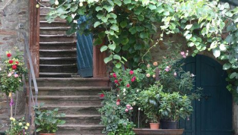 SHND0153 klein | &copy; Ursula von Breitenbach