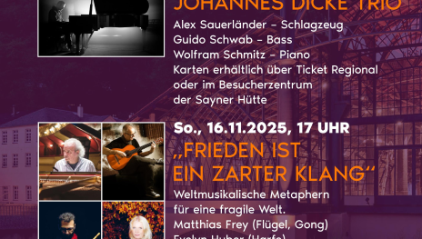 Herbsttöne Johannes Dicke Trio | © Stiftung Sayner Hütte