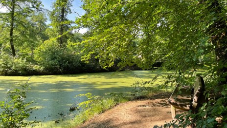 &copy; Tourist-Information Remagen, Romantischer Rhein Tourismus GmbH
