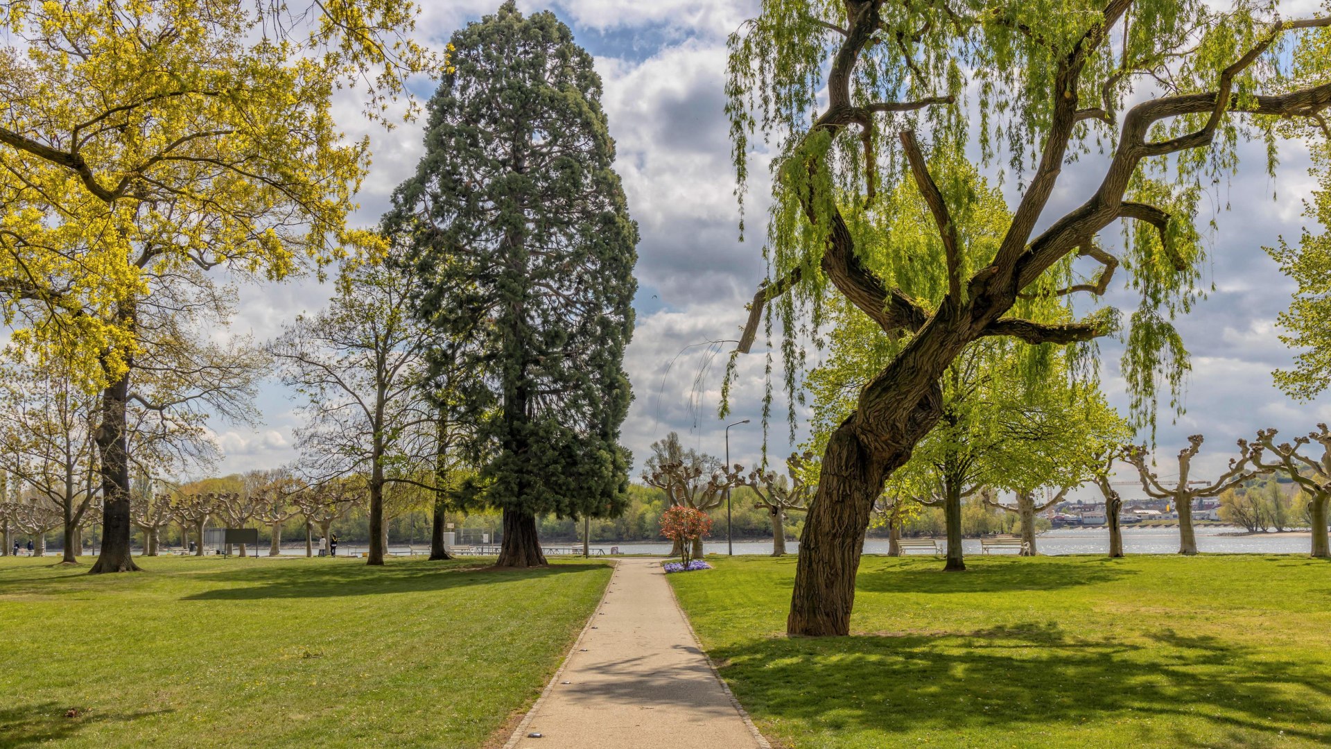 Hafenpark 5 | © e Hafenpark 5 | © e